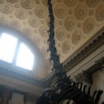 Dinosaur on Central Park West